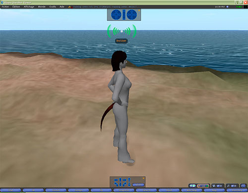 File:Q-Sims Avatar grey.jpg