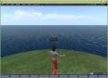 Q-Sims 1st screen.jpg